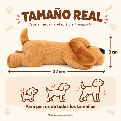 Tamaño real del peluche con latido para perros Bien Perrito